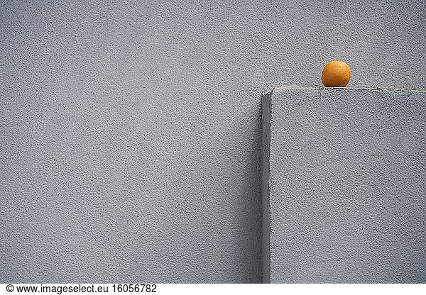 Single orange on a gray wall spur