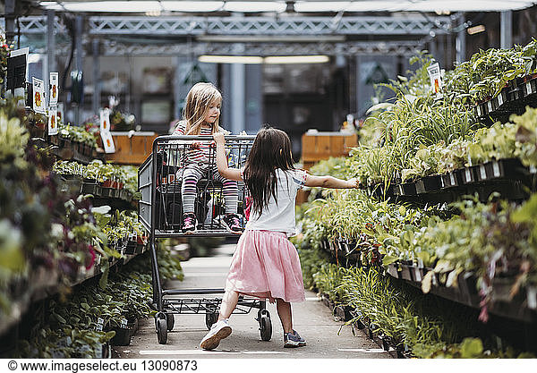 Sisters shopping at plant nursery