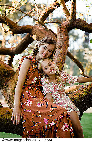Sisters Snuggling in Tree in San Diego