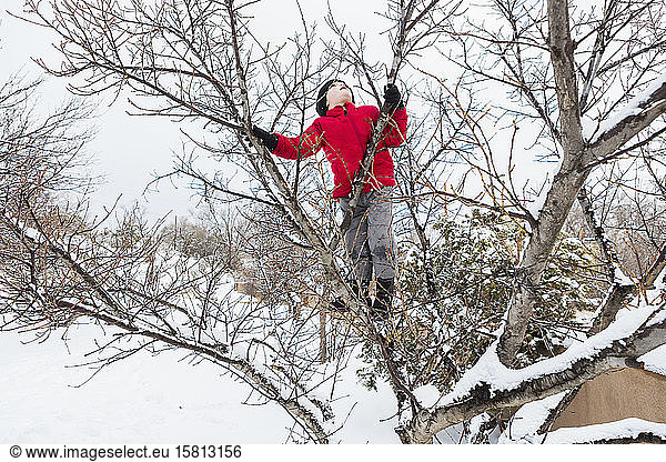 Six year old boy in a red jacket climbing a tree in winter