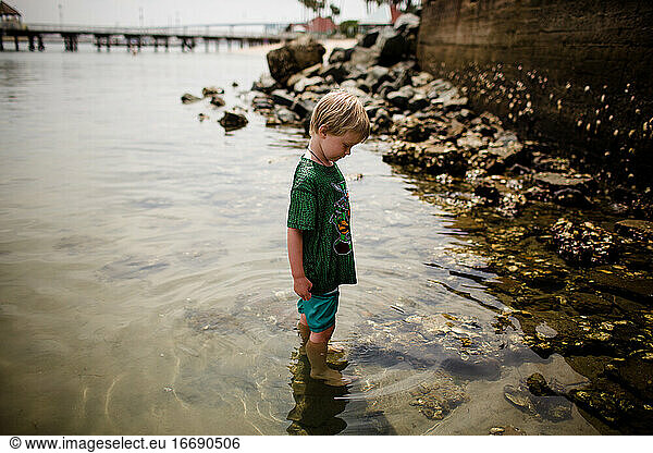 Six Year Old Boy Looking at Rocks Standing in Coronado Bay