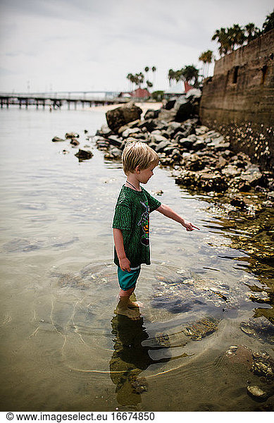 Six Year Old Boy Pointing & Standing in Coronado Bay