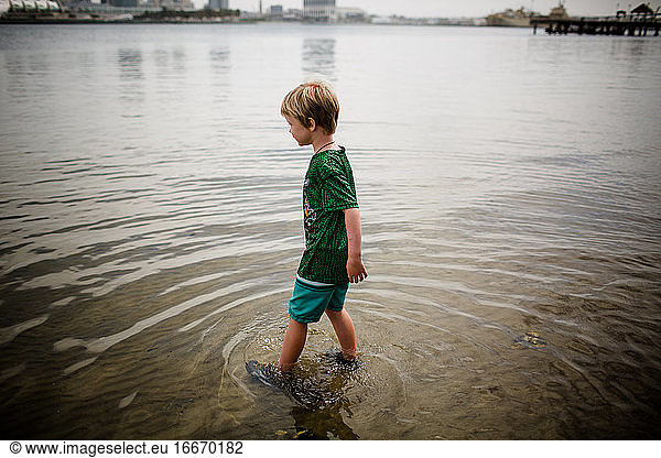 Six Year Old Boy Wading in Coronado Bay