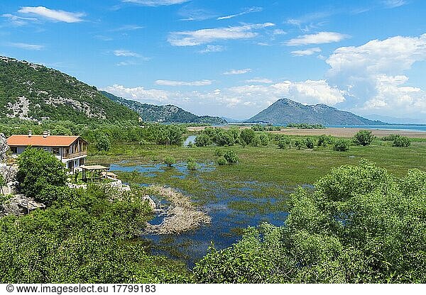 Skandar Lake and flooded field  Virpazar  Montenegro  Europe