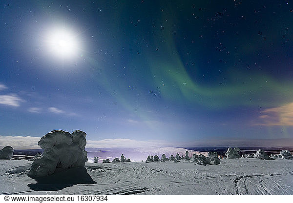 Skandinavien  Finnland  Kittilae  Polarlicht  Aurora borealis