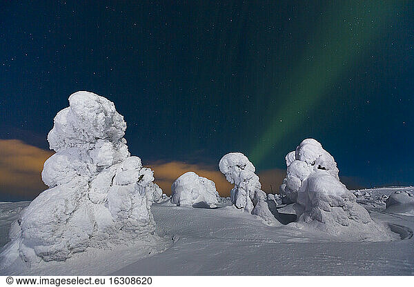 Skandinavien  Finnland  Kittilae  Polarlicht  Aurora borealis