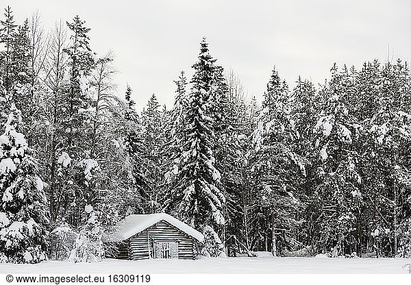 Skandinavien  Finnland  Kittilaentie  Holzhütte am Rande des Waldes