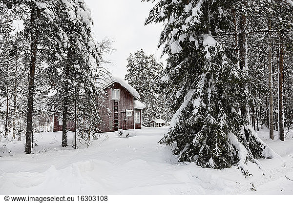 Skandinavien  Finnland  Kittilaentie  Leere Holzhütte im Wald im Winter