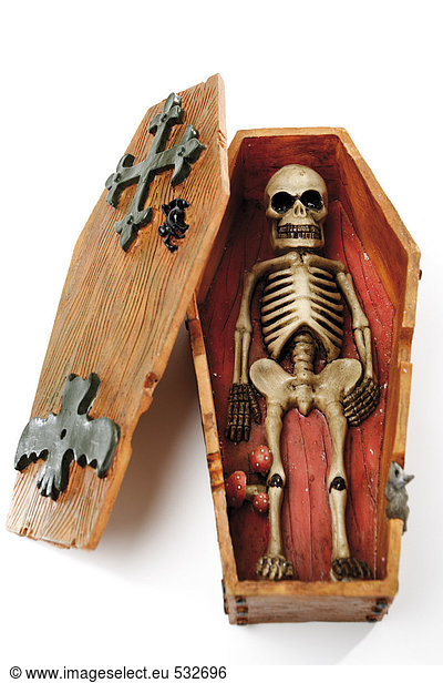 Skeleton in coffin  elevated view