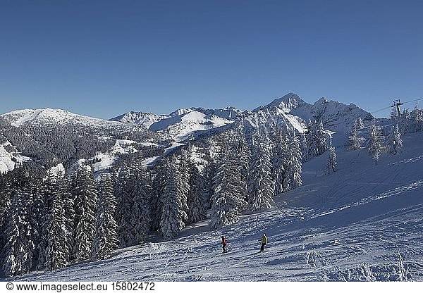 Ski area Planai  Schladming  Styria  Austria  Europe