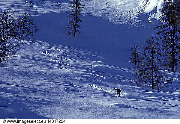 ski mountaineering tour at Maddalene mountain  Non Valley  Trentino  Italy  Europe