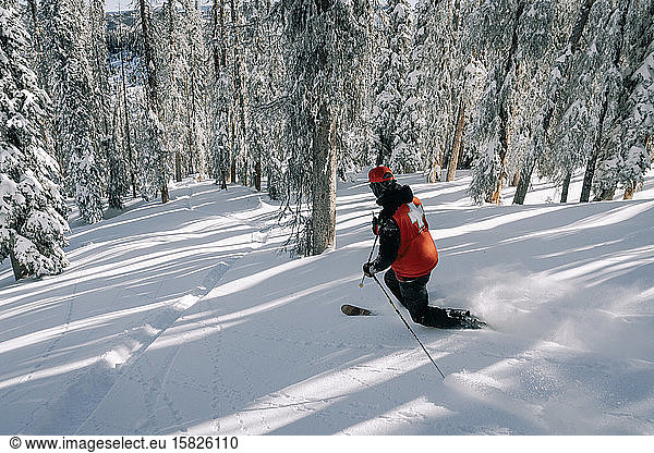 Ski Patrol telemark skiing through powder in trees