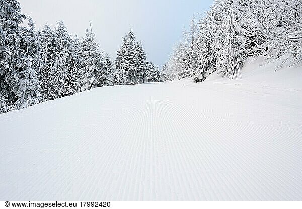 Ski slope in the morning  Mount Fichtelberg  Oberwiesenthal  Erzgebirge  Ore Mountains  Saxony  Germany  Europe