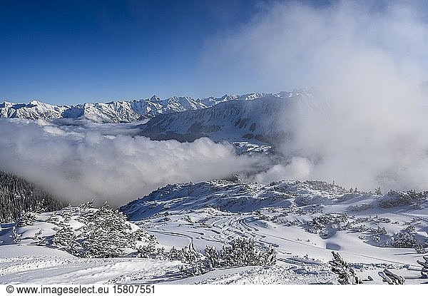 Ski tracks with Allgäu Alps  Ritzlern  Kleinwalsertal  Vorarlberg  Austria  Europe