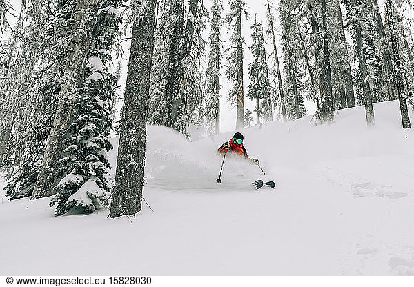 Skier In Powder at Wolf Creek