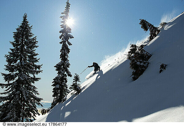 Skier Makes Turn in Powder Snow