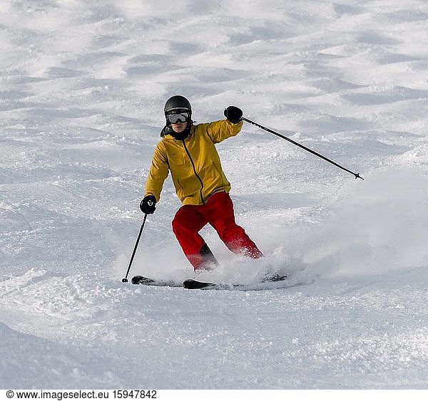 Skier on a mogul slope  downhill Hohe Salve  SkiWelt Wilder Kaiser Brixenthal  Hochbrixen  Tyrol  Austria  Europe