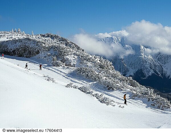 Skiers in winter landscape  view from Lawinenstein to Grimming  Tauplitzalm  Styria  Austria  Europe