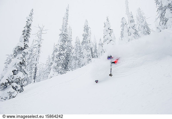 Skifahrerinnen finden Tiefschnee im Hinterland von Britisch-Kolumbien
