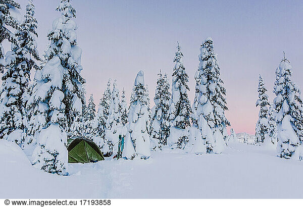 Skis and tent sit in fresh snow with purple and pink sunrise above