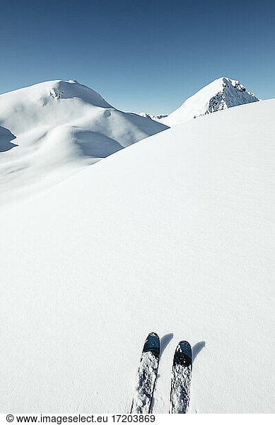 Skis on snow at Namloser Wetterspitze  Lechtal Alps  Tyrol  Austria