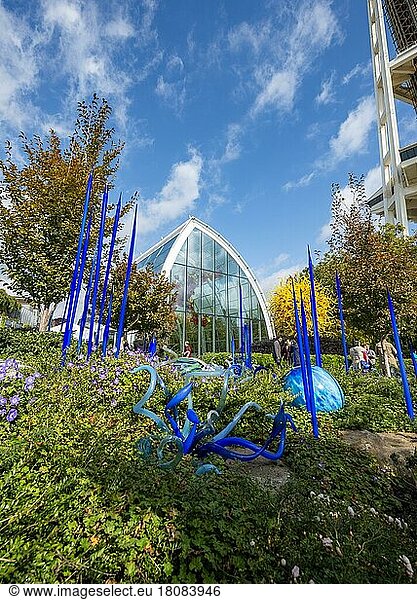 Skulpturengarten mit farbenfrohen Glaskunstwerken von Dale Chihuly  Chihuly Garden and Glass  im Herbst  Seattle  Washington  USA  Nordamerika