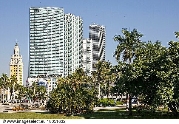 Skyline of Miami  Florida/ Skyline of Miami  Florida  Miami  Florida  USA  North America