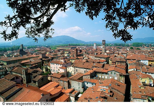 Skyline  Skylines  Italien  Lucca  Toskana