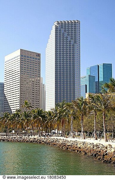 Skyline von Miami  Florida/ Skyline of Miami  Florida  Miami  Florida  USA  Nordamerika