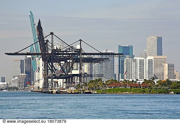 Skyline von Miami mit Hafen  Florida/ Skyline of Miami with harbour  Florida  Miami  Florida  USA  Nordamerika