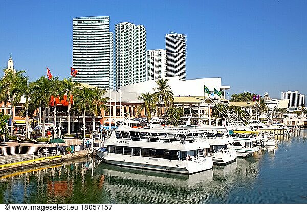 Skyline von Miami mit Hafen  Florida/ Skyline of Miami with harbour  Florida  Miami  Florida  USA  North America