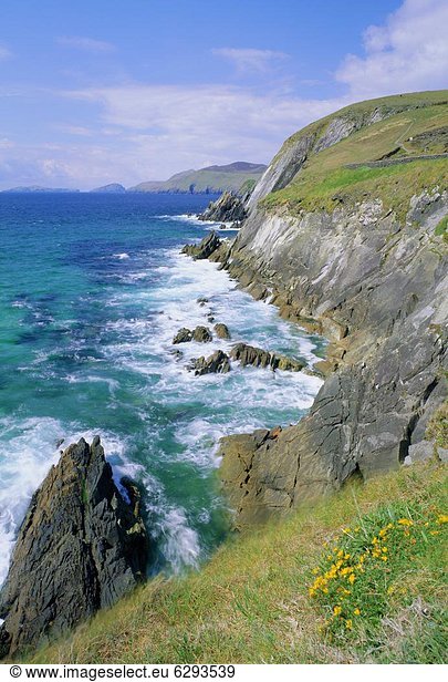 Slea Head  Halbinsel Dingle  County Kerry  Munster  Irland (Eire)  Europa