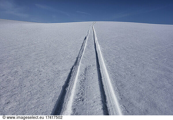 Sled tracks on snow.