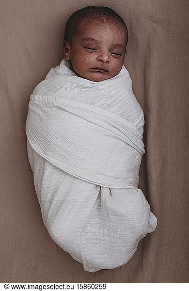 Sleeping swaddled multiracial newborn infant