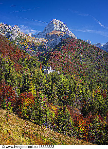 Slovenia  Autumn forest surrounding secluded building in Triglav National Park