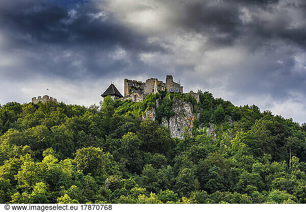 Slovenia  Savinja  Celje  Ruins of Celje Castle on top of forested hill