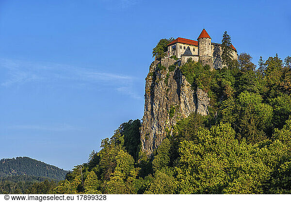 Slovenia  Upper Carniola  Bled Castle overlooking landscape below