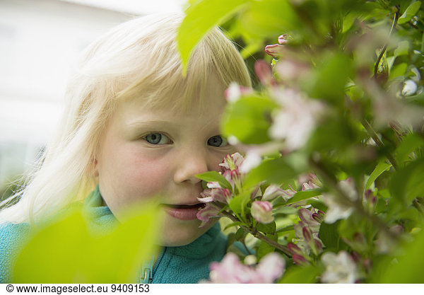 small blonde girl smelling flower blossom