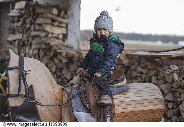 Small boy playing on wooden horse