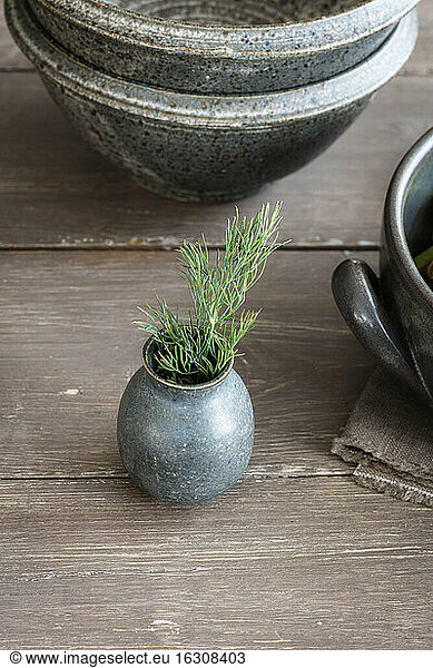 Small ceramic vase with fresh dill