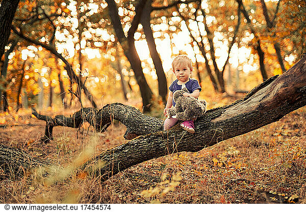 Small child sitting on a fallen tree in the autumn forest