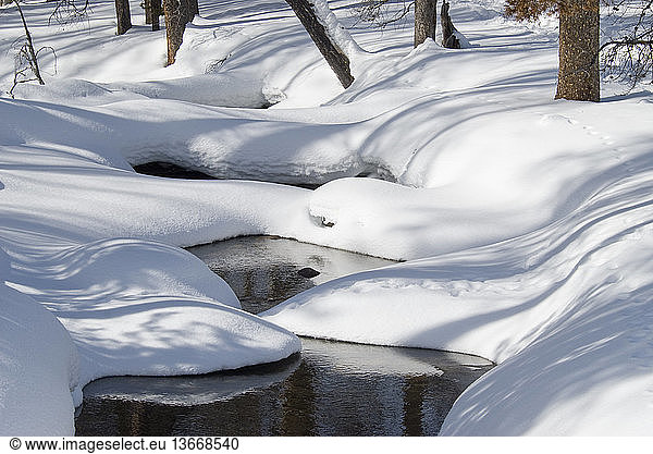 Small Creek in winter near Redfish Lake; Sawtooth National Recreation Area  ID.