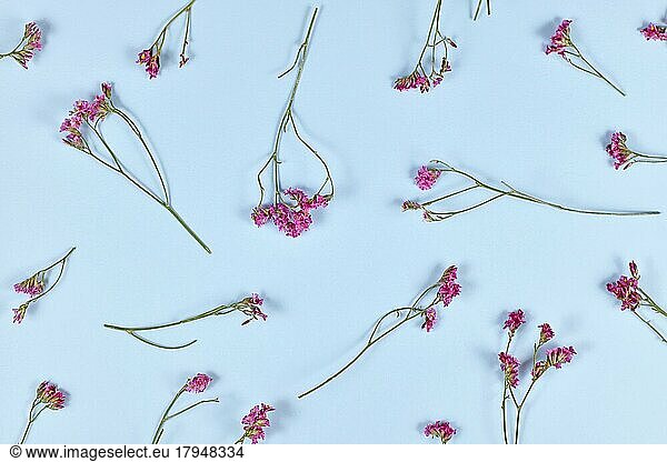Small dried purple flowers on blue background