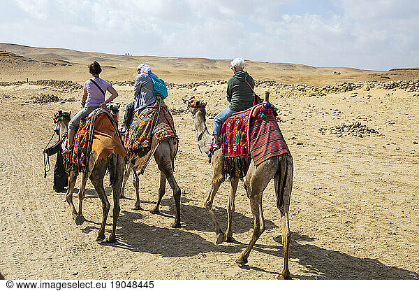 Small group of tourists riding camels on the Giza Plateau