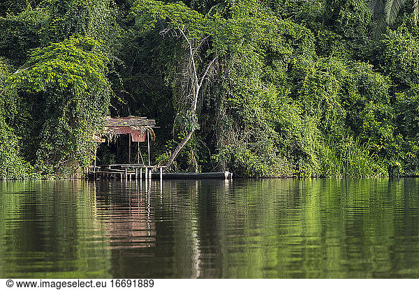 Small jetty in Peruvian rainforest on Lake Sandoval  Tambopata Nature Reserve  Puerto Maldonado  Madre de Dios Region  Peru