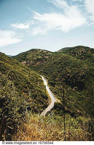 small road crossing the mountains of pine forests