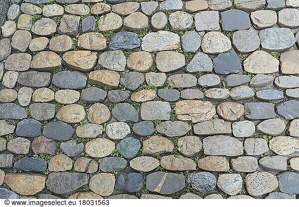 Small-scale pavement at Schwabentor  Freiburg im Breisgau  Baden-Württemberg  Germany  Europe