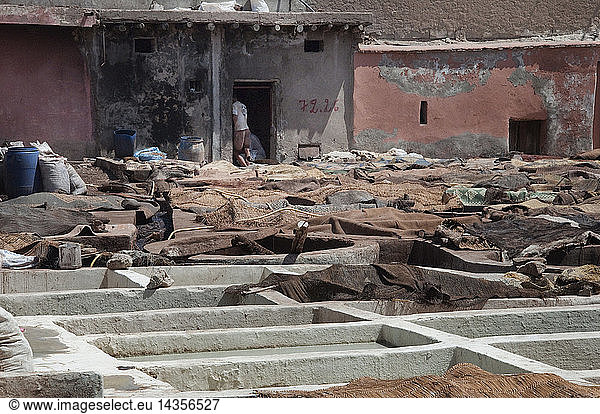 small tannery  Marrakech  Morocco  Maghreb  Africa
