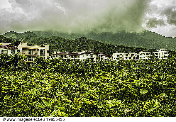 Small village with lush vegetation.