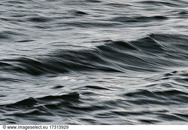 Small waves on water surface  Mývatn  North Iceland  Iceland  Europe